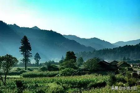 女兒發(fā)抖音的句子，抖音很火的侄女生日短句？