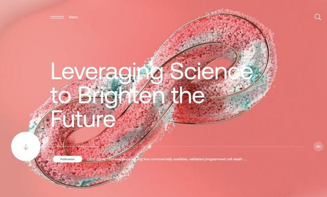 電商網(wǎng)站設計論文，電商網(wǎng)站設計論文2000字？