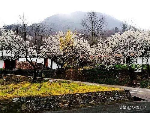 女兒發(fā)抖音的句子，抖音很火的侄女生日短句？