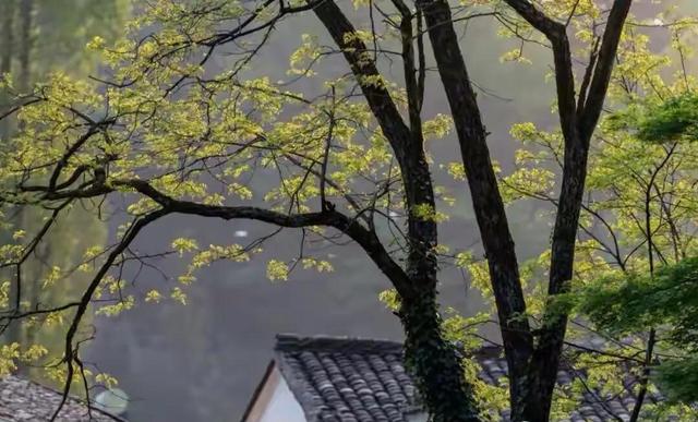 抖音上很火的歌曲歌詞是天在下雨，抖音上有首歌叫什么的下雨天？