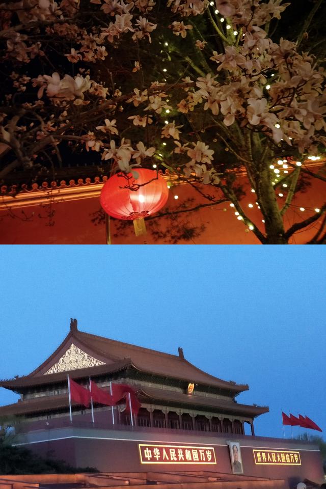 我愛(ài)你就像飛蛾撲向火是什么歌抖音，抖音上很火的你的愛(ài)就像？