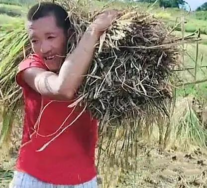 抖音美女千千萬(wàn)下一句是什么諷刺的，抖音美女千千萬(wàn)下一句是什么諷刺的歌曲？