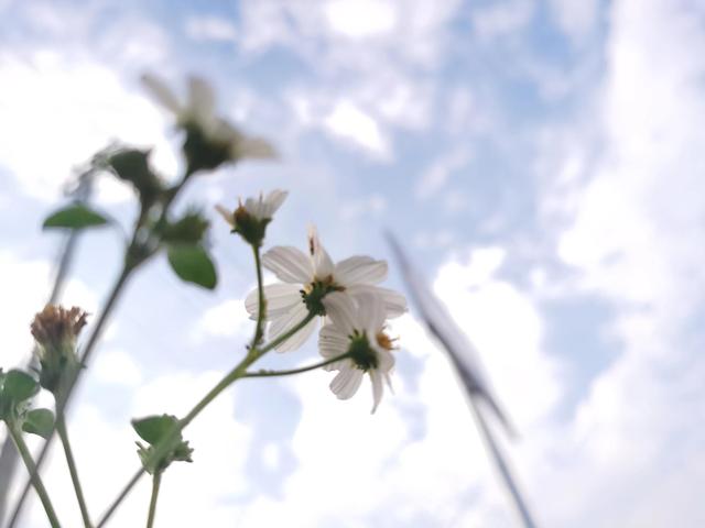 抖音里想去的地方在哪里看到，抖音里想去的地方在哪里看到呢？