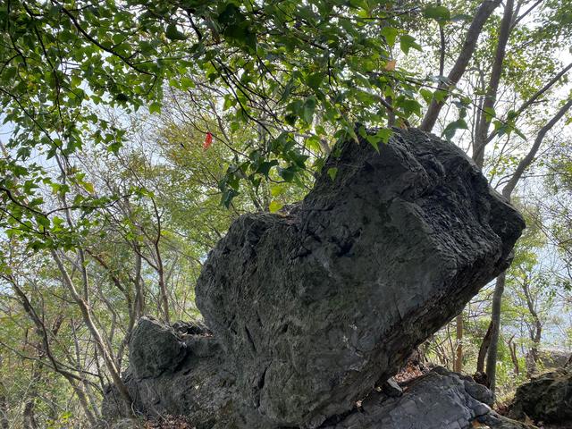 一家四口旅游發(fā)朋友圈，夫妻故地重游發(fā)朋友圈美句？