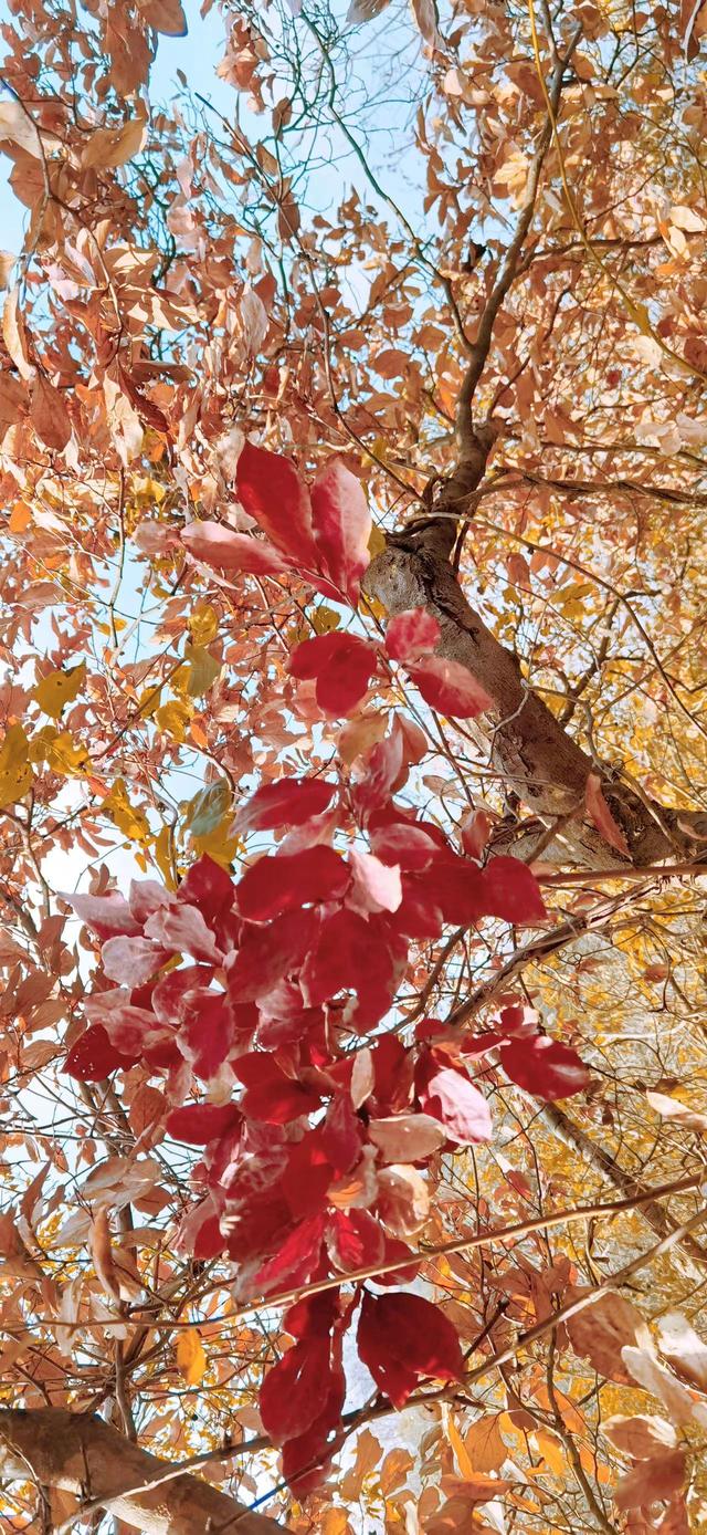 一家四口旅游發(fā)朋友圈，夫妻故地重游發(fā)朋友圈美句？