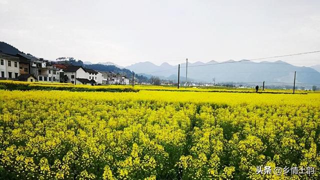 女兒發(fā)抖音的句子，抖音很火的侄女生日短句？