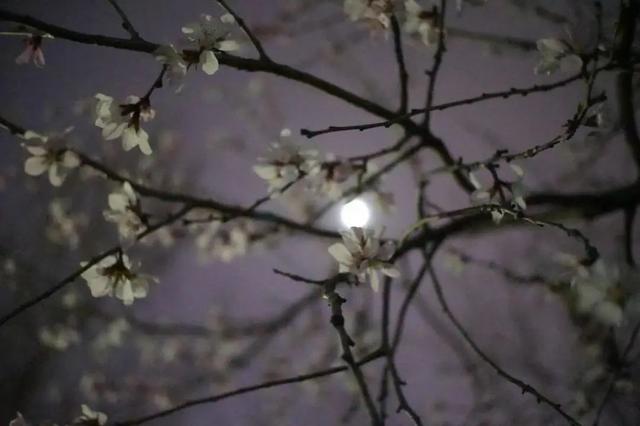 抖音上很火的歌叫夜什么歌粵語(yǔ)，抖音上很火的歌叫夜什么歌粵語(yǔ)歌名？