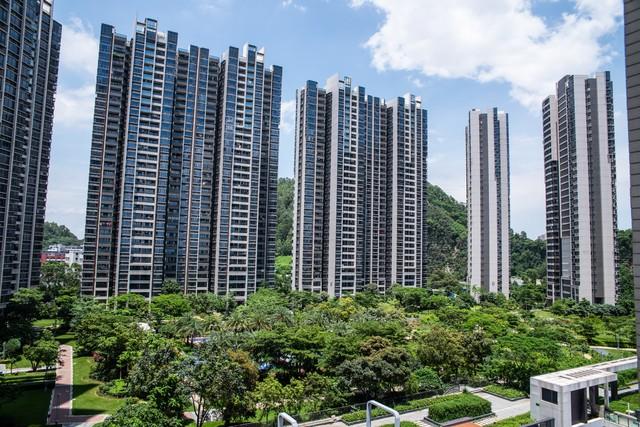 京東白條不分期怎么還，京東白條哪里還款？