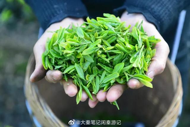 項目介紹的內(nèi)容模板怎么寫，項目介紹的內(nèi)容模板怎么寫范文？