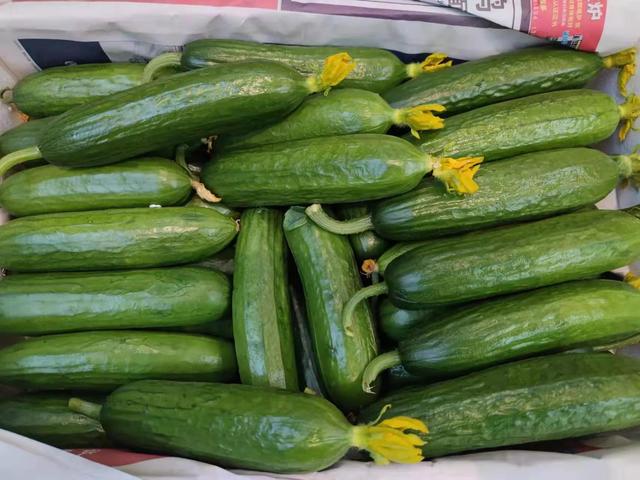 疫情期間做什么生意比較好賺錢大齡下崗人的，現(xiàn)在疫情期間做什么生意好？