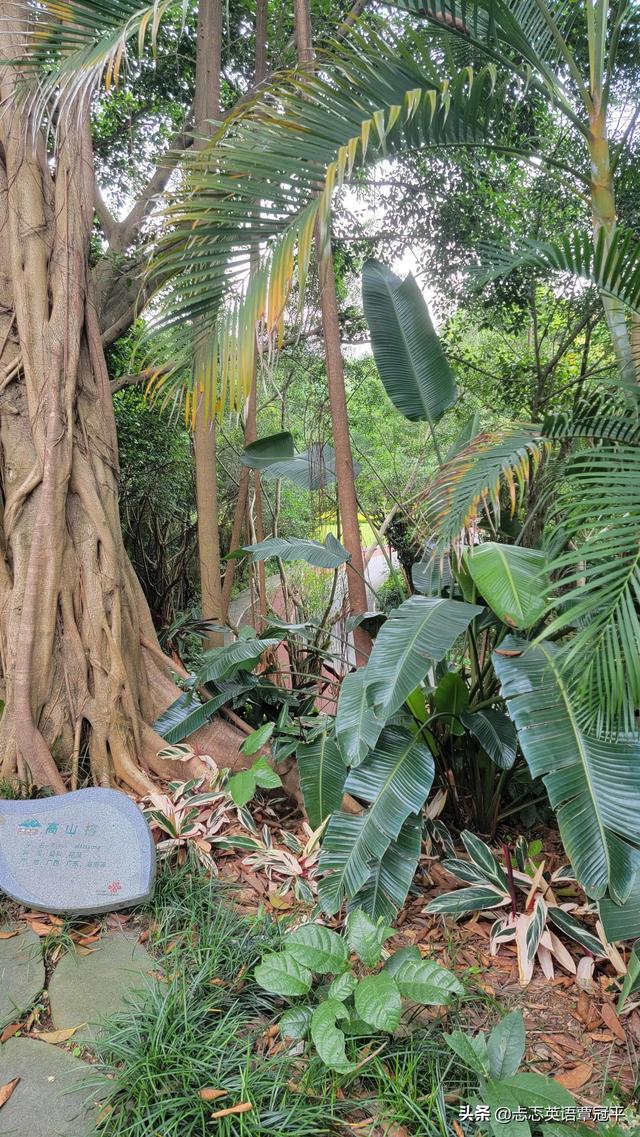 利用互聯(lián)網(wǎng)英語怎么說，互聯(lián)網(wǎng)的使用英語怎么說？