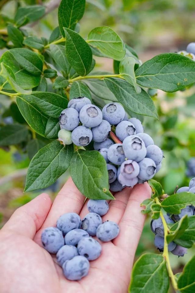 犒勞自己發(fā)朋友圈的句子歌曲，犒勞自己發(fā)朋友的朋友圈？