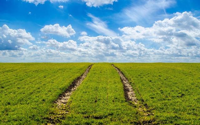 互聯(lián)網農產品商業(yè)計劃書，互聯(lián)網農產品商業(yè)計劃書融資計劃？