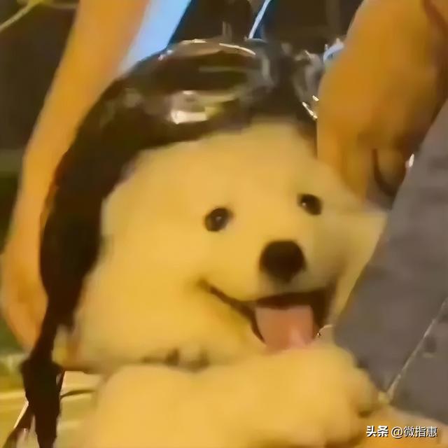 中億物聯(lián)卡購買平臺純流量卡，中億物聯(lián)卡購買平臺純流量卡是真的嗎？