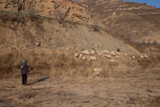 不想打工有什么辦法賺錢呢，不想打工有什么辦法賺錢呢女生？