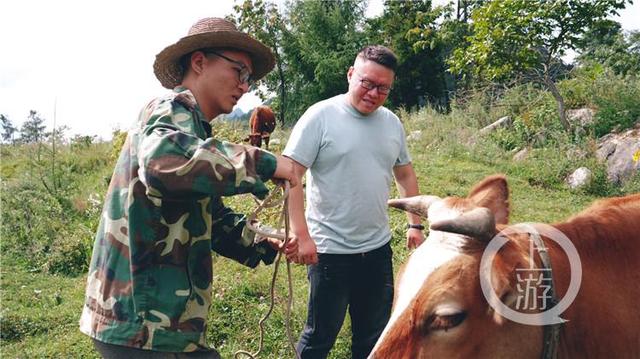 抖音播放量怎么提升最有效方法，抖音播放量怎么提升最有效方法視頻？