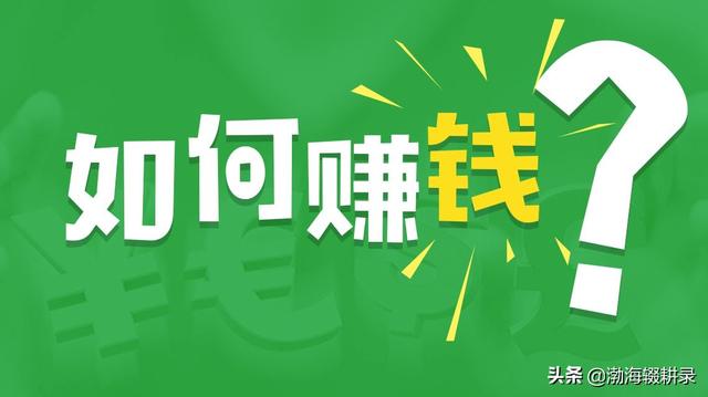 網(wǎng)上怎么掙錢(qián)最安全可靠(大學(xué)在網(wǎng)上怎么掙錢(qián))