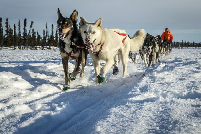 奧運項目有哪些_，2022年奧運項目有哪些
