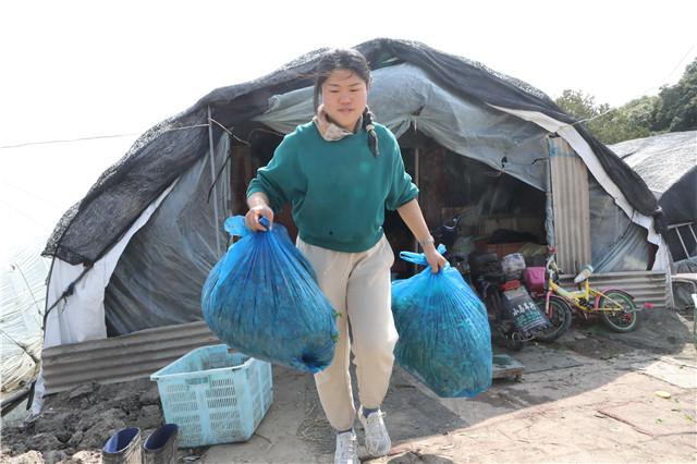 拼多多個(gè)人店鋪取名大全，拼多多個(gè)人店鋪取名大全土特產(chǎn)？