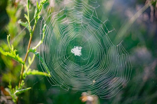 二年級(jí)下冊(cè)蜘蛛開(kāi)店續(xù)寫100字，二年級(jí)下冊(cè)續(xù)寫蜘蛛開(kāi)店一百字？