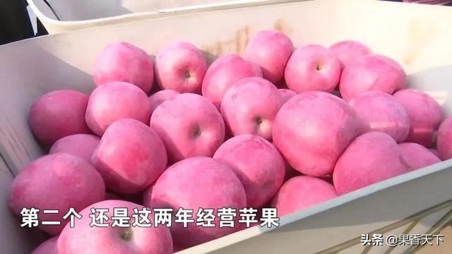 蘋果賺錢軟件，蘋果賺錢軟件真實可靠？