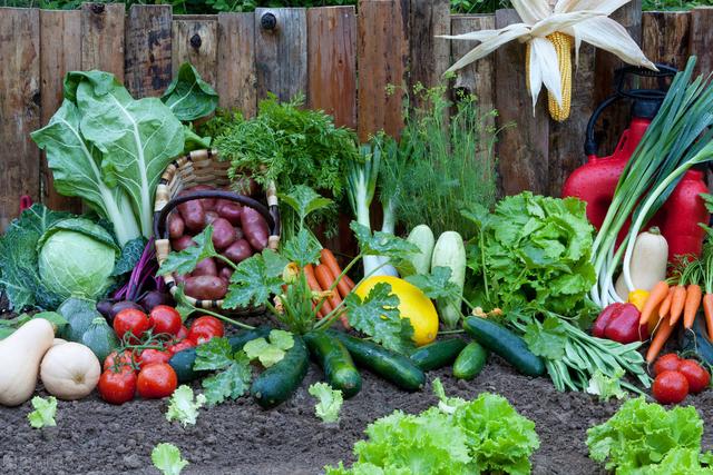 不想打工有什么辦法賺錢呢，不想打工有什么辦法賺錢呢女生？