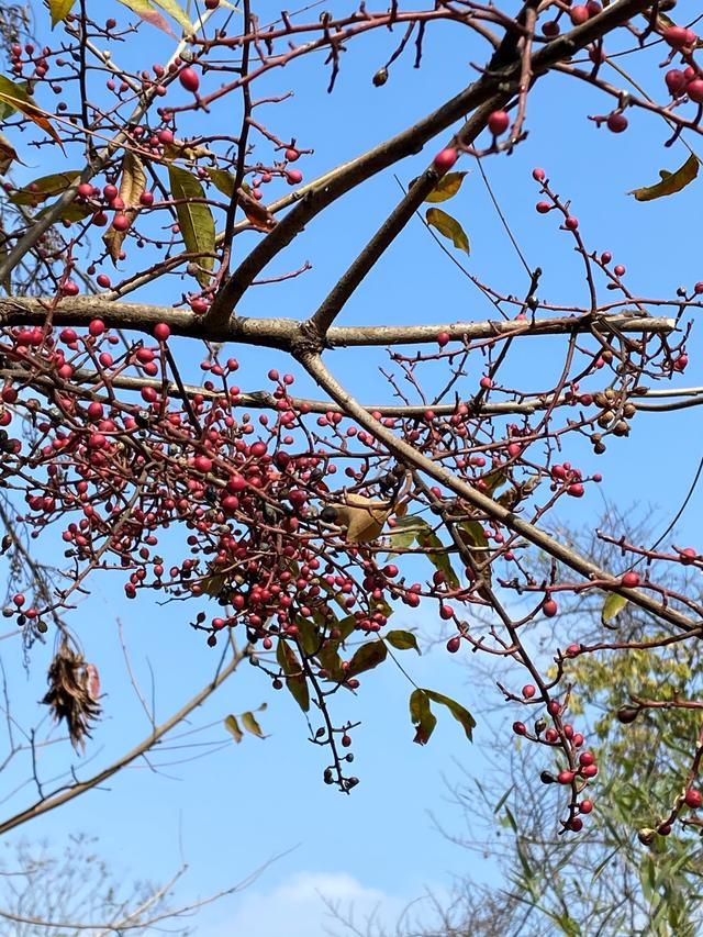 一家四口旅游發(fā)朋友圈，夫妻故地重游發(fā)朋友圈美句？