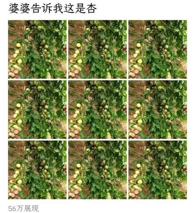 抖音流量密碼是什么意思，掌握流量密碼是什么意思？