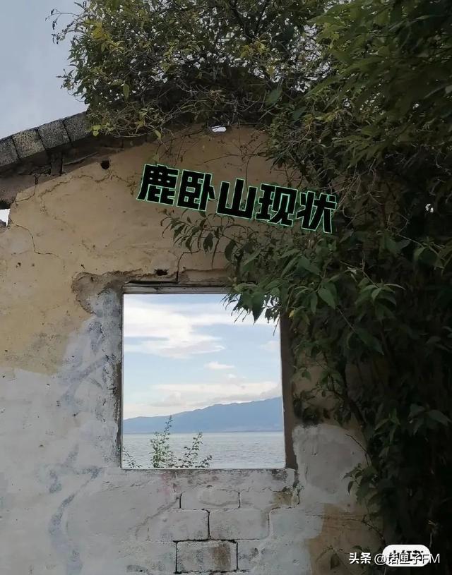 小紅書申請(qǐng)解封理由怎么寫，小紅書解封申訴內(nèi)容怎么寫？