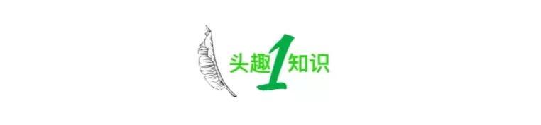 熱搜上令人窒息的“寶媽半夜吸奶”事件，撕開了多少女性的遮羞布