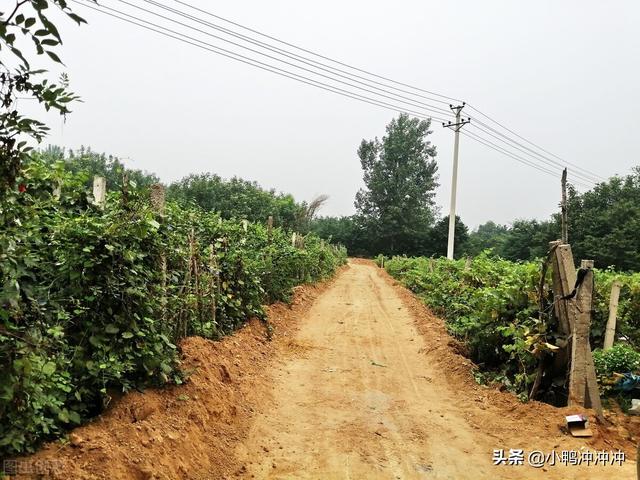 979閑魚人生_小說86，1979閑魚人生_小說下載？"