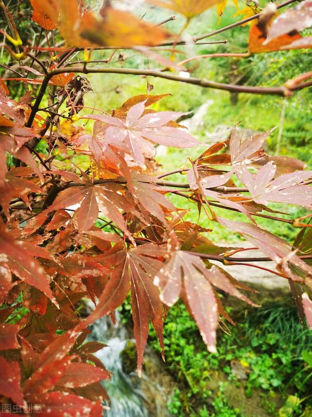 躺著賺錢(qián)的43種方式，怎樣才能躺著賺錢(qián)呢？