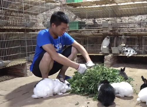 致富網(wǎng)小投資項(xiàng)目2021年，農(nóng)村致富網(wǎng)小投資項(xiàng)目2020？