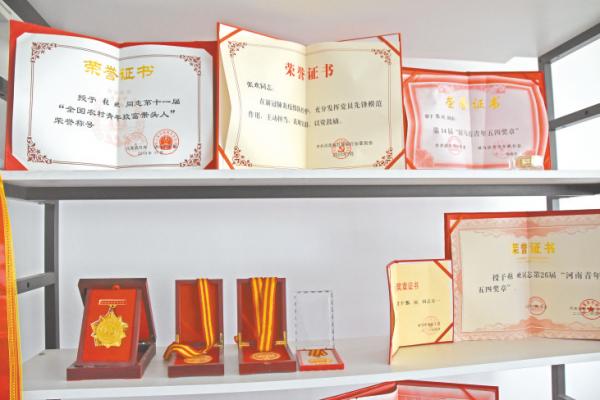 絲瓜直播2021最新破解版，絲瓜直播2021最新破解版下載？