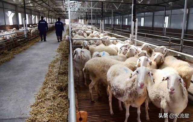 尋找項(xiàng)目的四個(gè)途徑，尋找項(xiàng)目的四個(gè)途徑syb