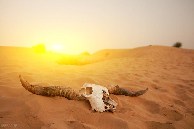 不想打工有什么辦法賺錢呢，不想打工有什么辦法賺錢呢女生？