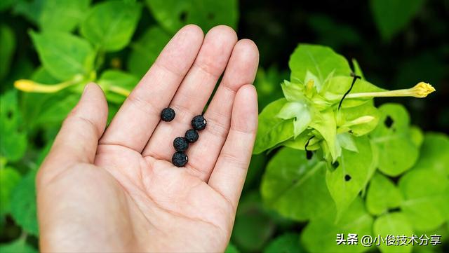 在拼多多買衣服安全嗎可靠嗎知乎，在拼多多上買衣服可靠嗎？