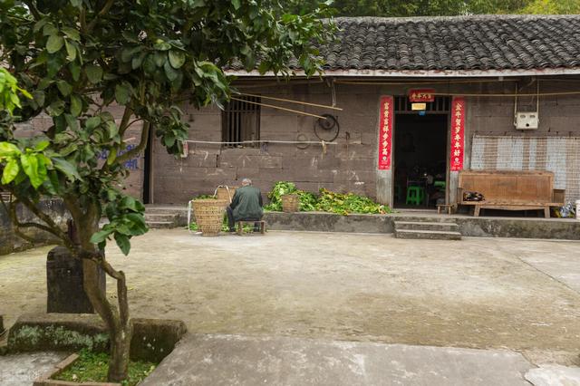 不想打工有什么辦法賺錢呢，不想打工有什么辦法賺錢呢女生？