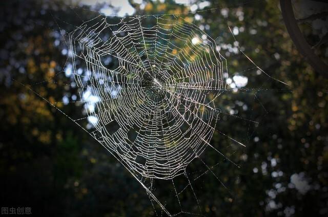 二年級(jí)下冊(cè)蜘蛛開(kāi)店續(xù)寫100字，二年級(jí)下冊(cè)續(xù)寫蜘蛛開(kāi)店一百字？