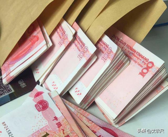 田園小院賺錢是真的嗎還是假的，農(nóng)家小院賺錢是真的嗎？