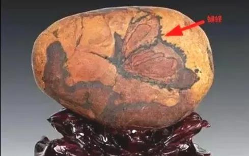 石鐵隕石多少錢一克 視頻（真正的石鐵隕石多少錢一克）