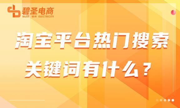 淘寶搜什么會有你懂的，淘寶搜索有啥好買的？