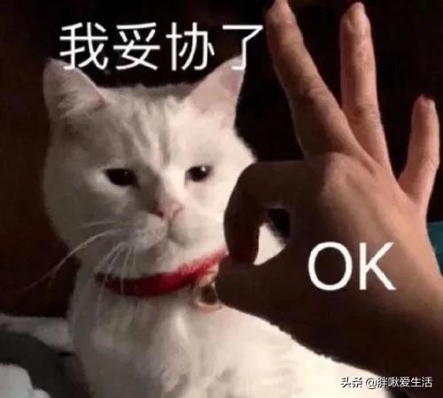 拼多多賬號怎么注銷掉，注銷拼多多賬號方法？