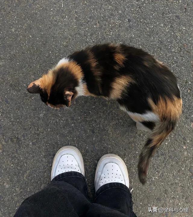 適合發(fā)朋友圈的說說簡短，發(fā)朋友圈的短句分享？