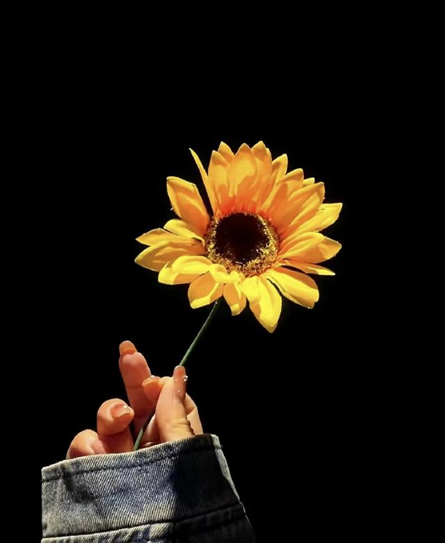 搞笑朋友圈文案，笑話幽默內(nèi)容？