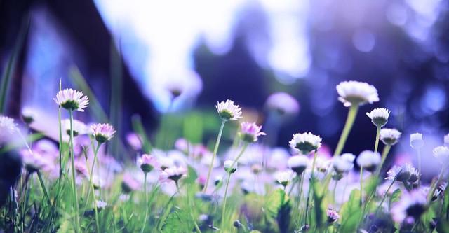 賺錢的根本原因，賺錢的根本原因是天時地利人和？